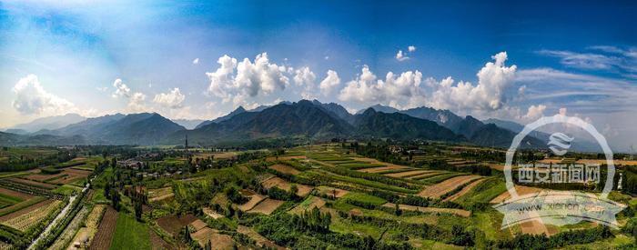 让客来时所见一山碧绿万物竞发