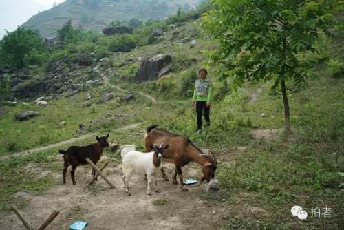 走下悬崖村的孩子：新家是我去过最远的地方
