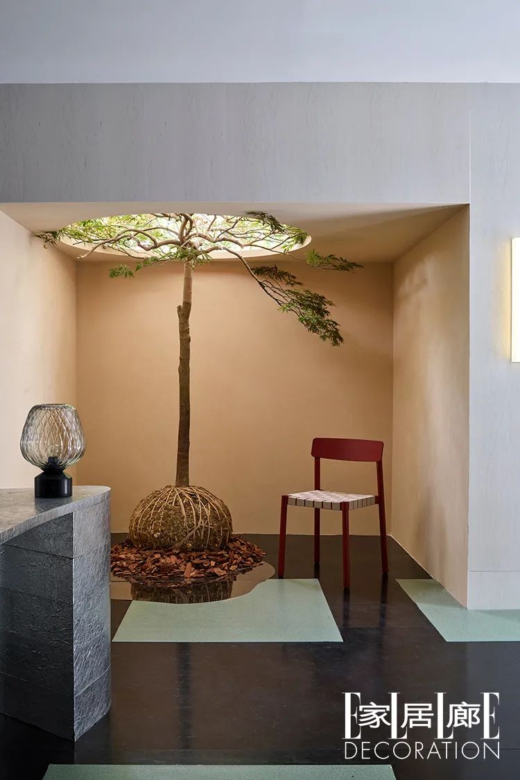 ApartmentStore回归，来新天地城市野餐