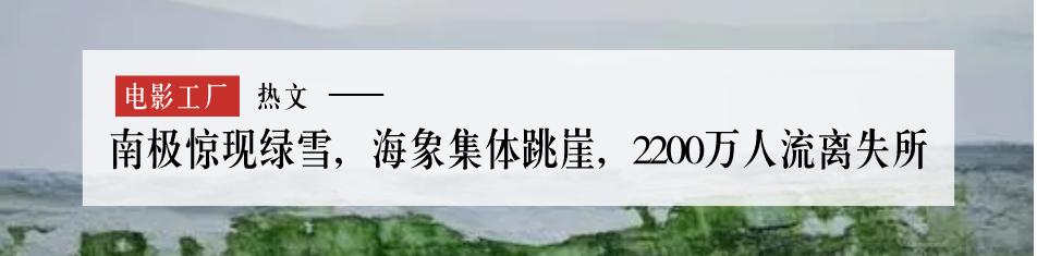奇葩邪典，不愧是cult片年度冠军