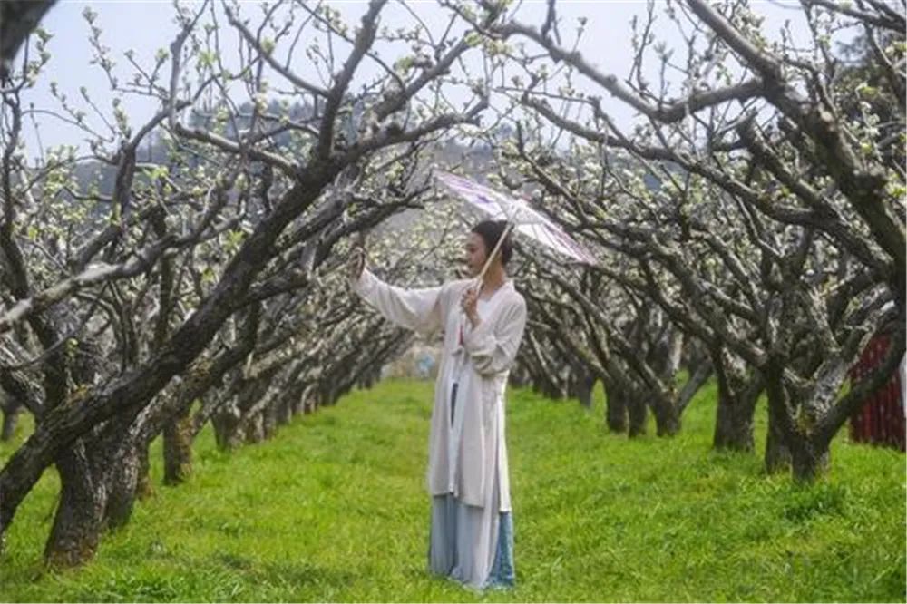 浙江明制汉服培训,杭州汉服造型线下培训