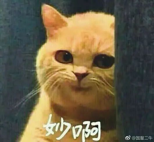 茫茫行星际中的指南针