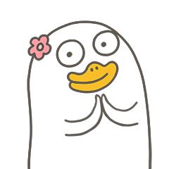 邳州市即将开建的学校,邳州新学校进展