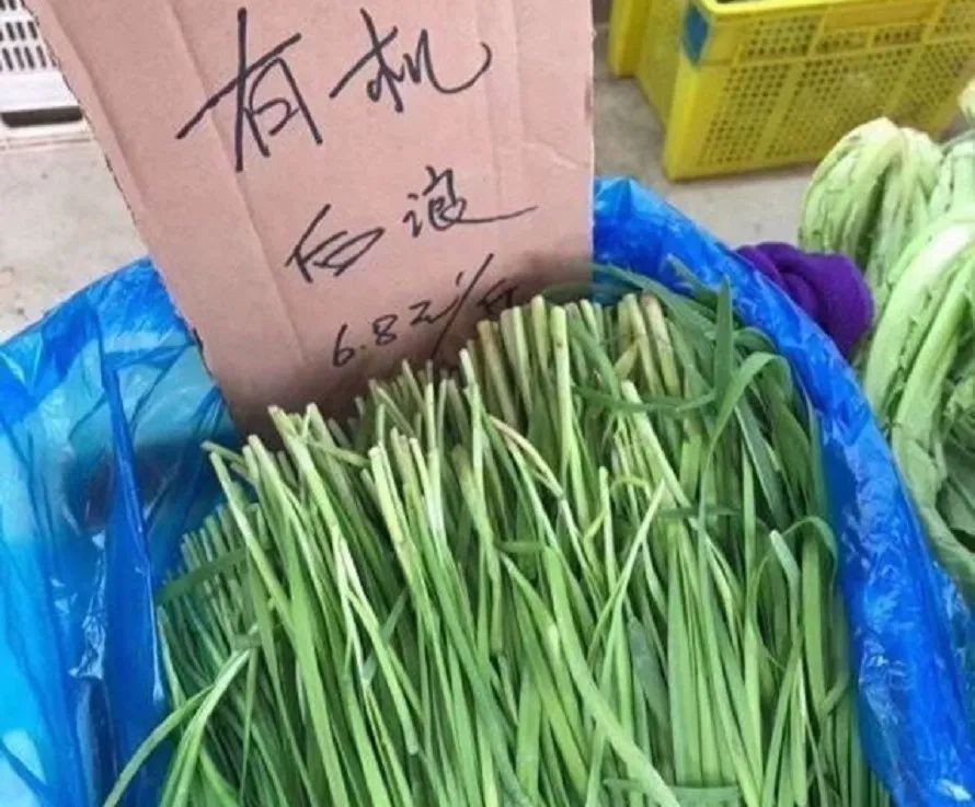 饭圈追星被骗,饭圈借贷的危害