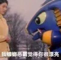 每天在家里抓10多只虫,每天在家里抓10只虫子