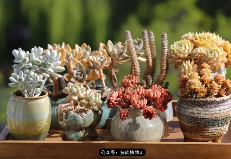 专注于自己喜欢的事情,专注于自己喜爱的事情