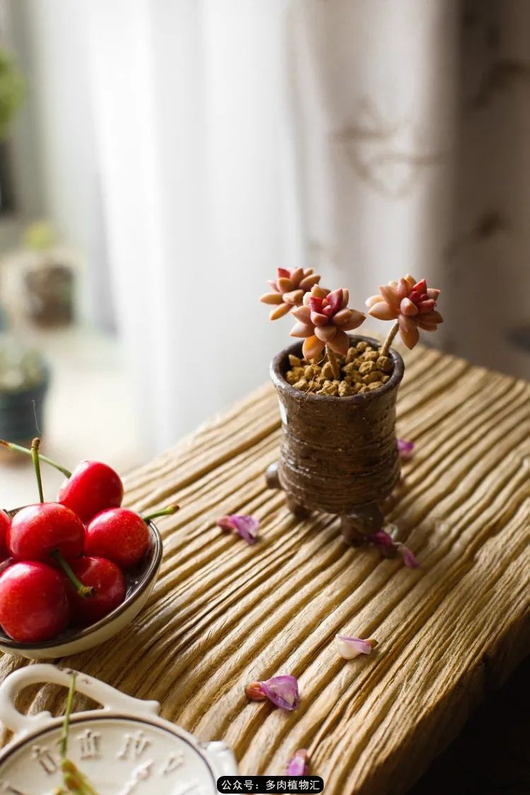 专注于自己喜欢的事情,专注于自己喜爱的事情