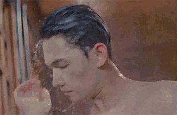 法国Lérane草本净螨贴，萃取天然植物，除螨更安心