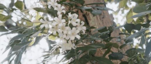 行走的荷尔蒙激发你的魅力,行走的荷尔蒙自带香水