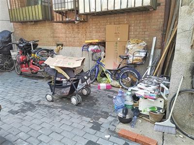 小区神器,小区内遛狗不拴绳怎样整治