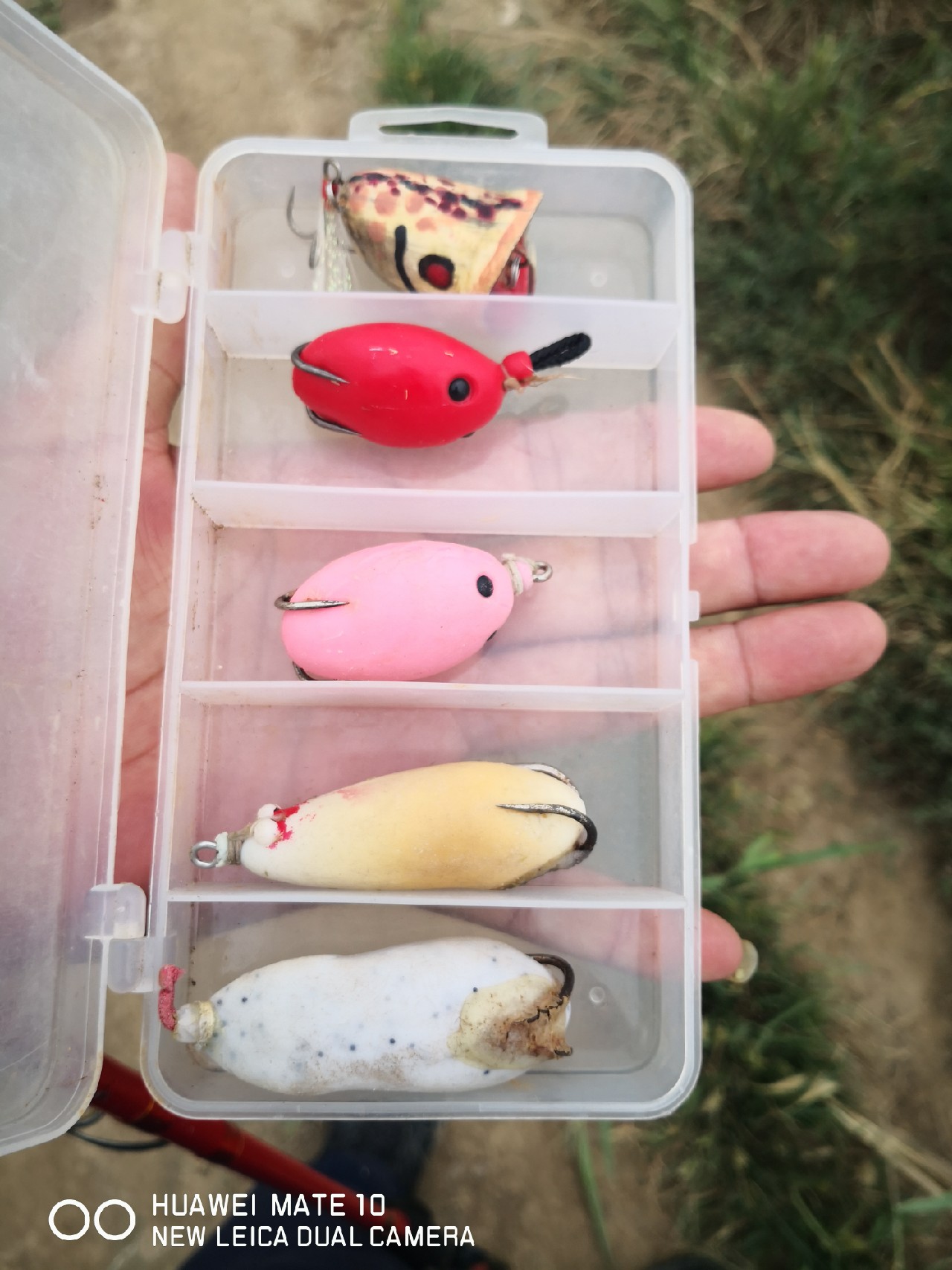 路亚怎么打黑的,路亚打黑怎样打