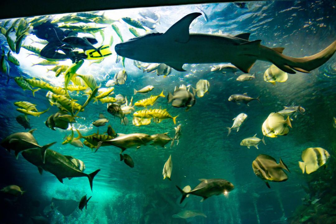 「限量特价」39元抢购价值5000元的2020年北京联合游览通票1套，可畅游京城百家景区，不贴照片不实名，不限周末，省钱还省心