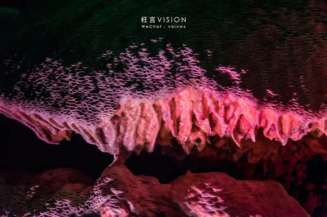 溶洞、观鸟、湿地雨林、网红吊桥、瀑布...只要99元小鲁哥带你清凉一夏