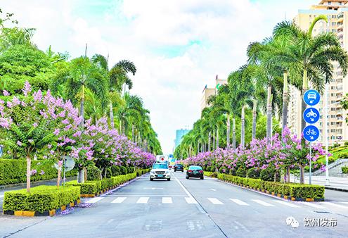 钦州集装箱基地,中谷钦州集装箱多式联运物流基地