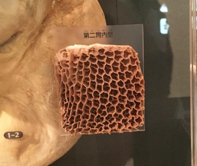 最好吃的牛肚是哪个,牛肚跟原味牛肚的区别