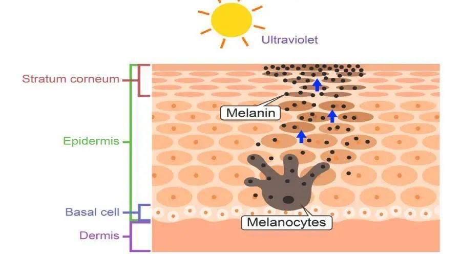 女生变白的正确方式,女生想要变白到底有多简单
