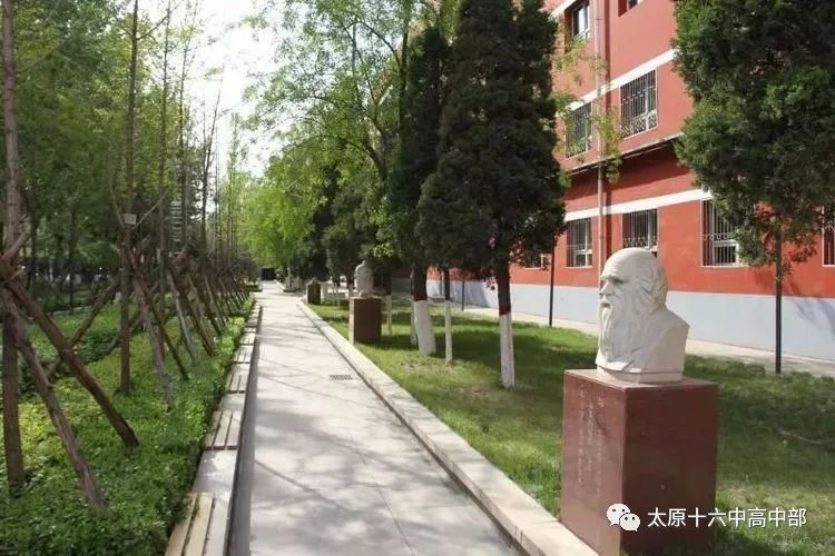 太原市十六六中招生简章,太原十六中高中部怎么样