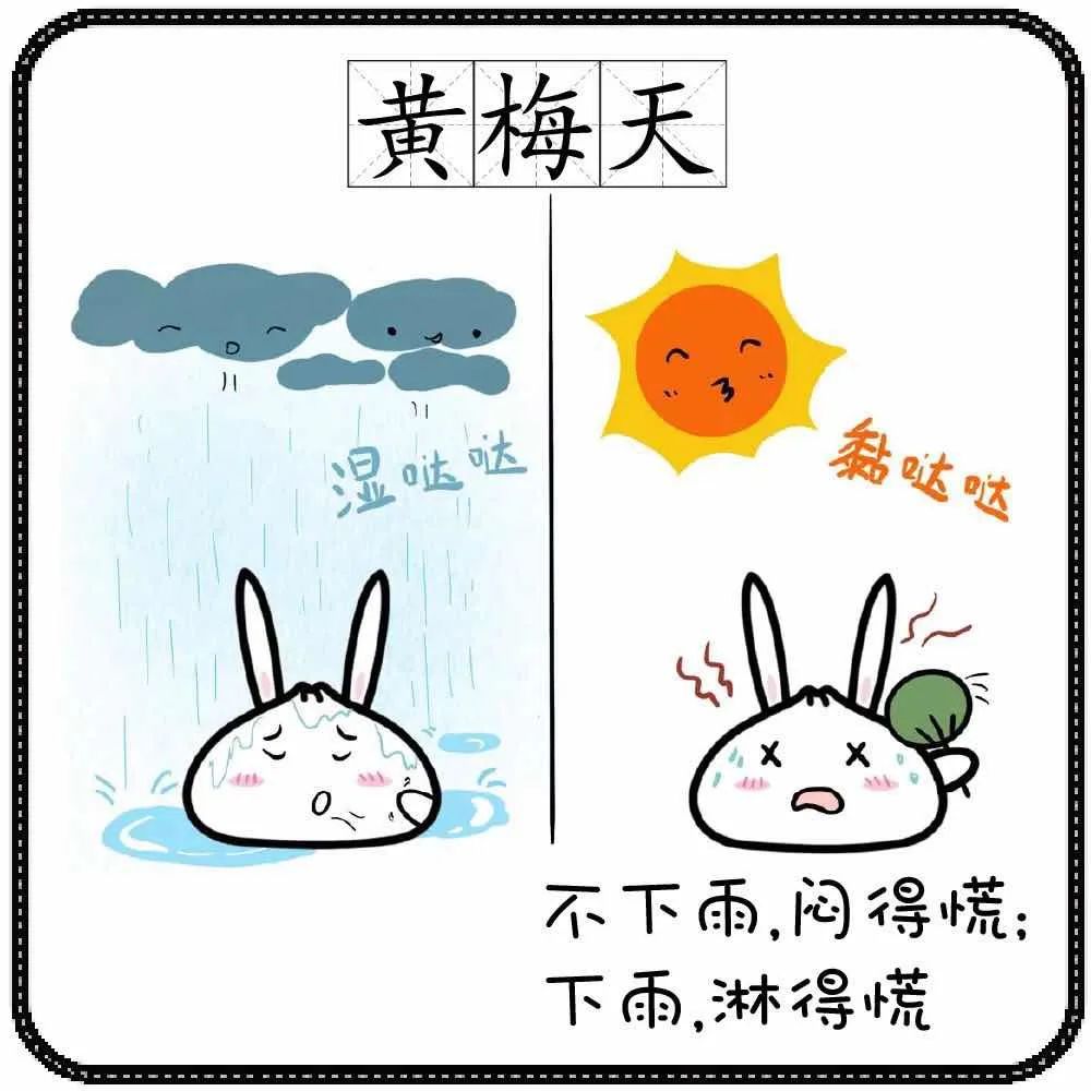 @宝山人，明天早高峰“苦”了！下周天“漏”了？