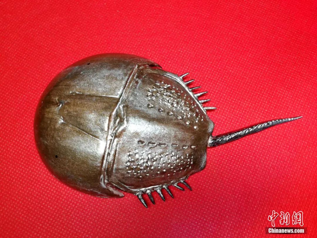 给他一坨面，他能给你整个海洋……