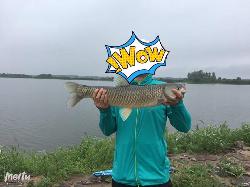 下雨天狂拔大鲫,雨天狂拉草鱼