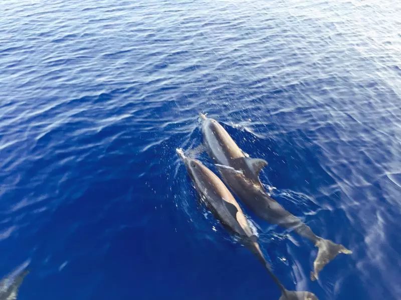 马代度假攻略,马代奢享酒店