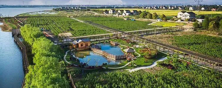 桑蚕丝冬暖夏凉,蚕丝夏日睡衣