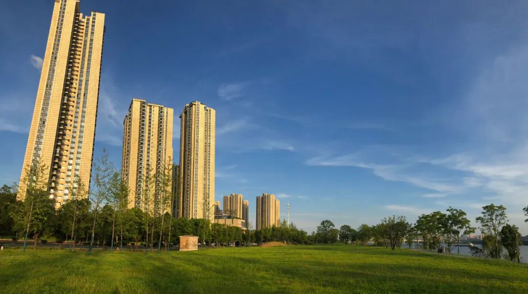 刷屏了！这样的开福蓝，请给我来一打