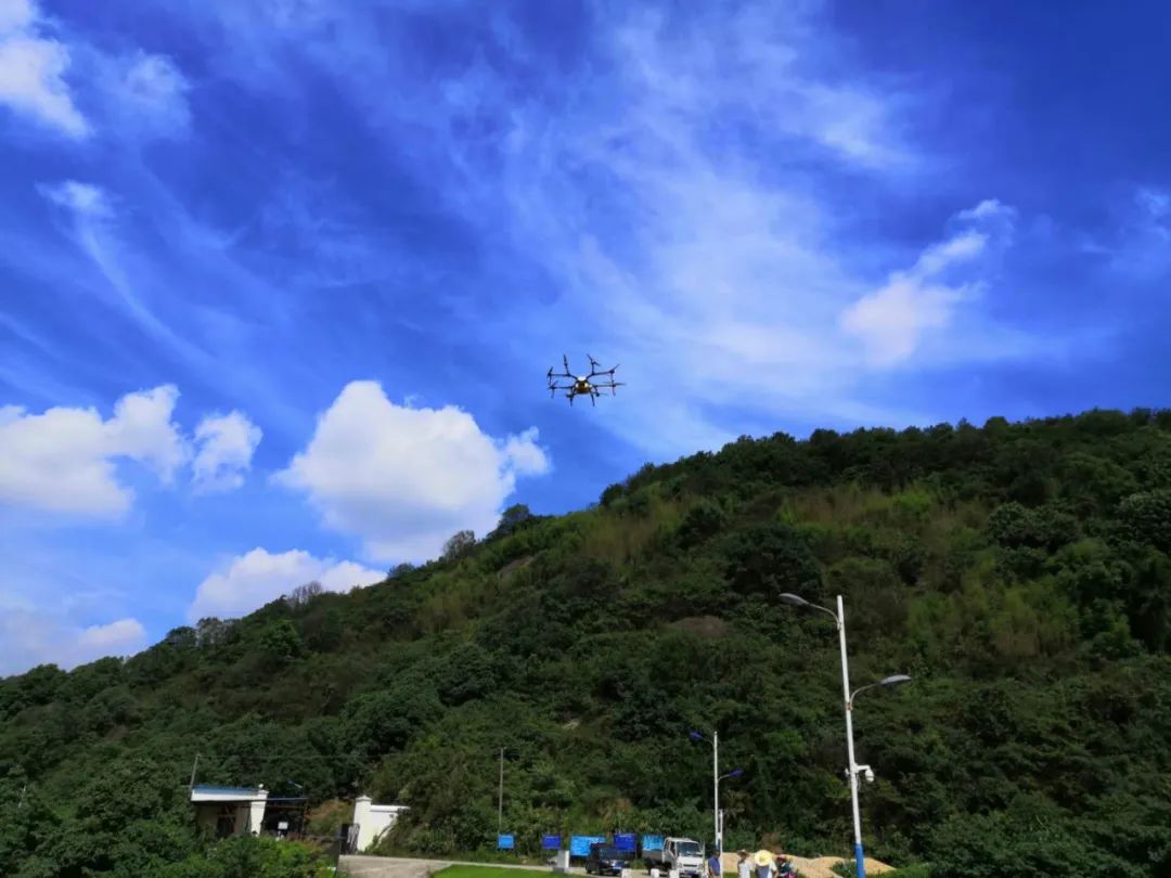 刷屏了！这样的开福蓝，请给我来一打
