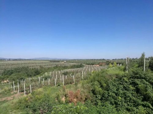 铜川村支书讲故事,铜川中原村