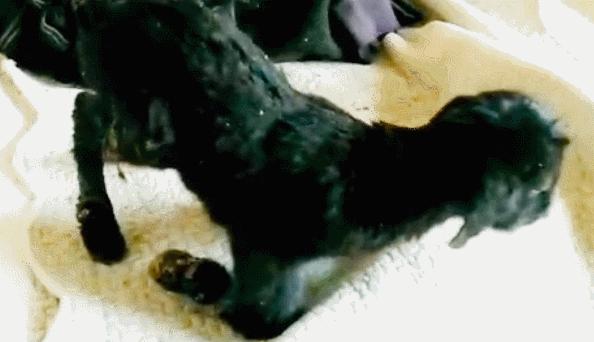 看完李佳琦父亲才知道，90%的人早已失去「成为李佳琦」的机会