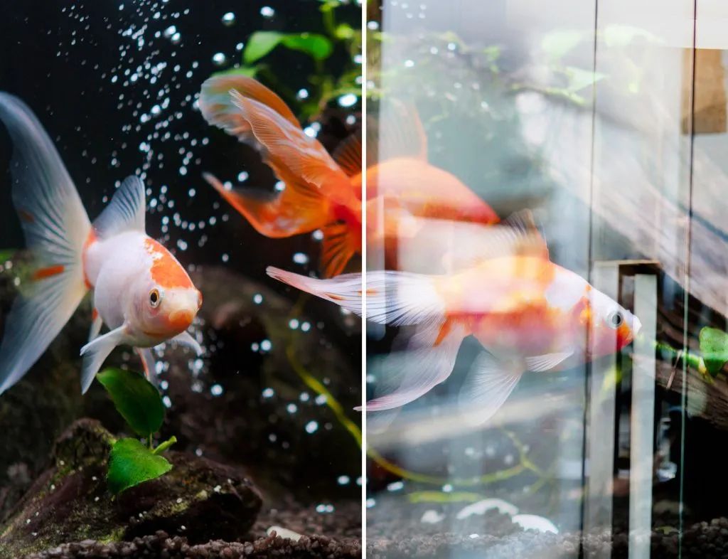 好物|用最简单直接的方法,消除玻璃反光(中奖名单公布)