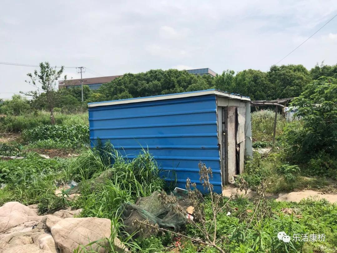 康桥镇学生日记,康桥日记内容