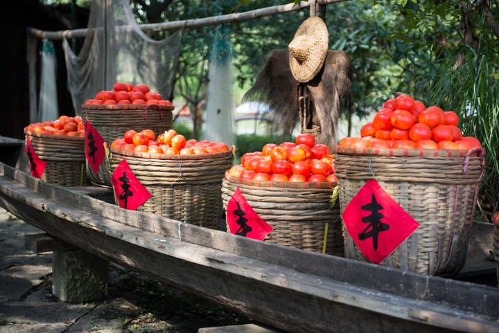 “姊妹明珠坐抱于杭”读懂西湖西溪的前世今生