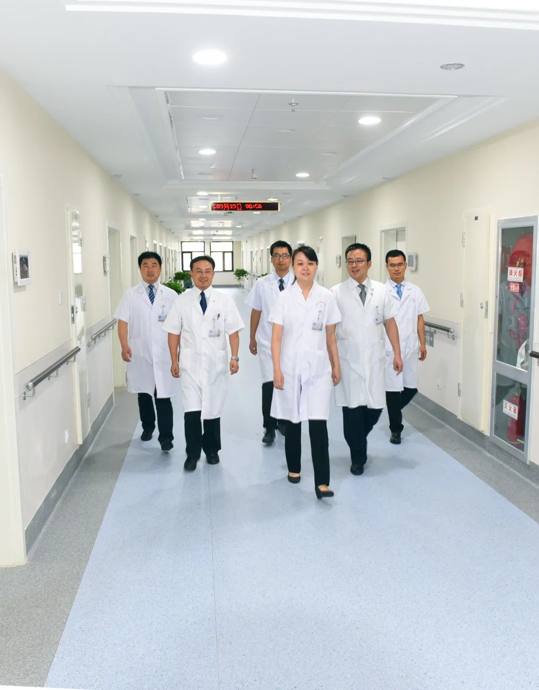 中医专栏赵萍视频,赵萍医生的视频