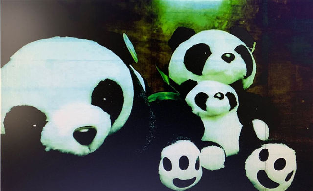 国际禁毒日丨“聪明药”“*肥药减**”？小心，这些都有可能是*品毒**