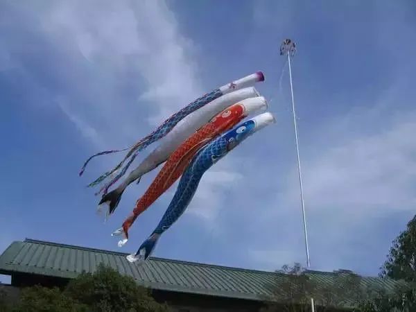 端午节真正的由来,端午节的起源到底是什么