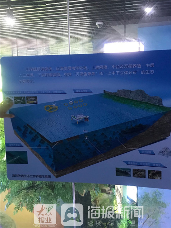 山东三生三美,三生三美看山东