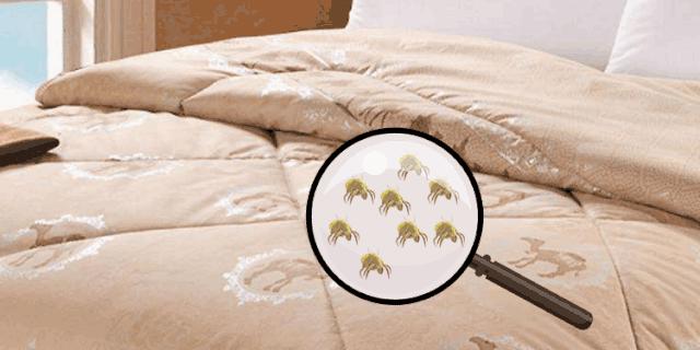 团|墙上插上它，24小时物理除螨，让千万螨虫集体自杀，比太阳暴晒强10000倍