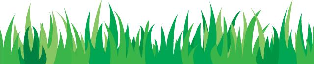 陕西西安教育电视台,陕西长安竞技足球俱乐部引援消息