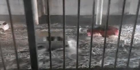 雨水98.1毫米对车辆有涉水可能吗,下暴雨车涉水需要检查哪些