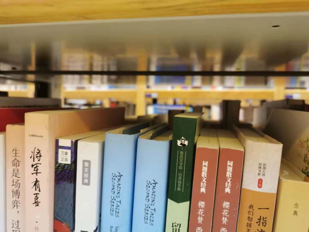 从a到z的英语歌,从a到z女声版