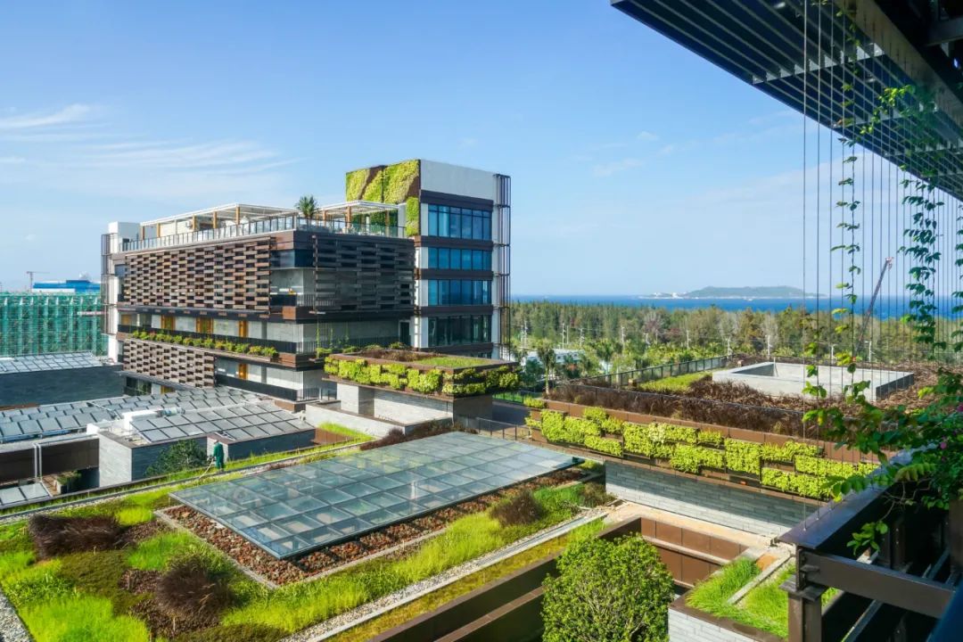 上半年经历了太多不尽人意的事,上半年过得很糟糕