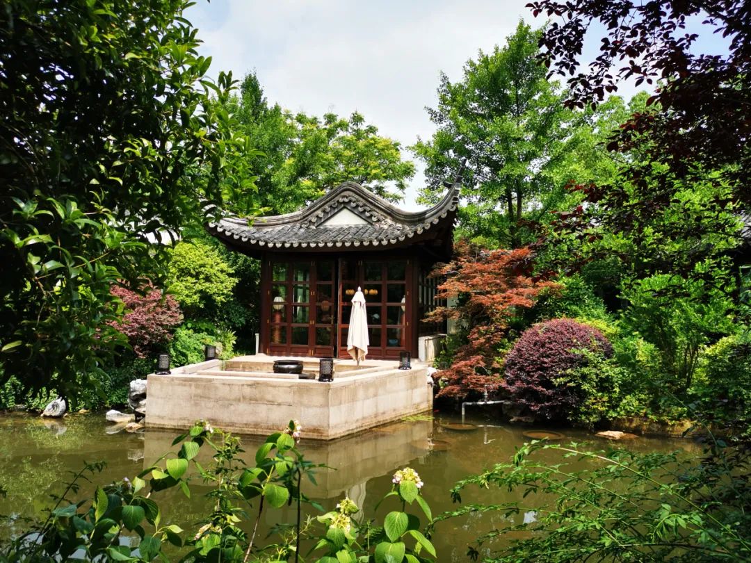 上半年经历了太多不尽人意的事,上半年过得很糟糕