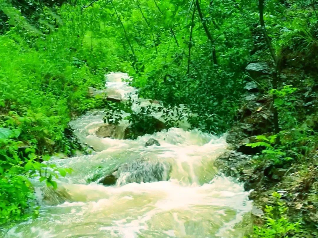 雨天的艾山，宛如人间仙境
