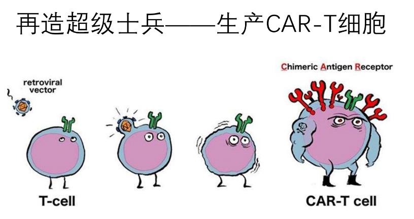 免疫治疗能使肿瘤缩小吗,一文读懂癌症的真相