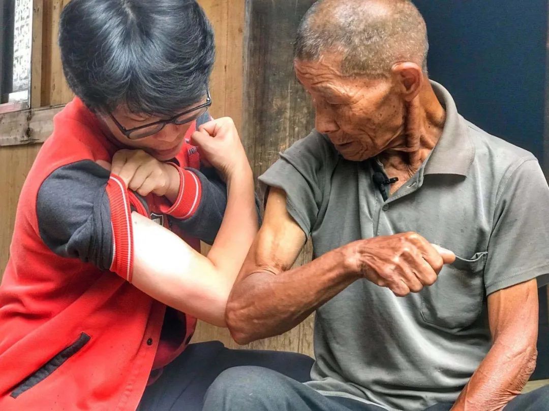 牛胃里的草叫什么,牛胃里的牛草黄