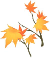 秋日荐书|抗抑郁书单，拯救不开心的你