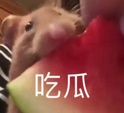 瑞酱长草日记丨舞台下的火箭少女，素颜也这么好看？