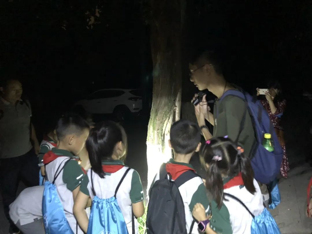 森林探险之旅的目的,神秘的雨林探险之旅