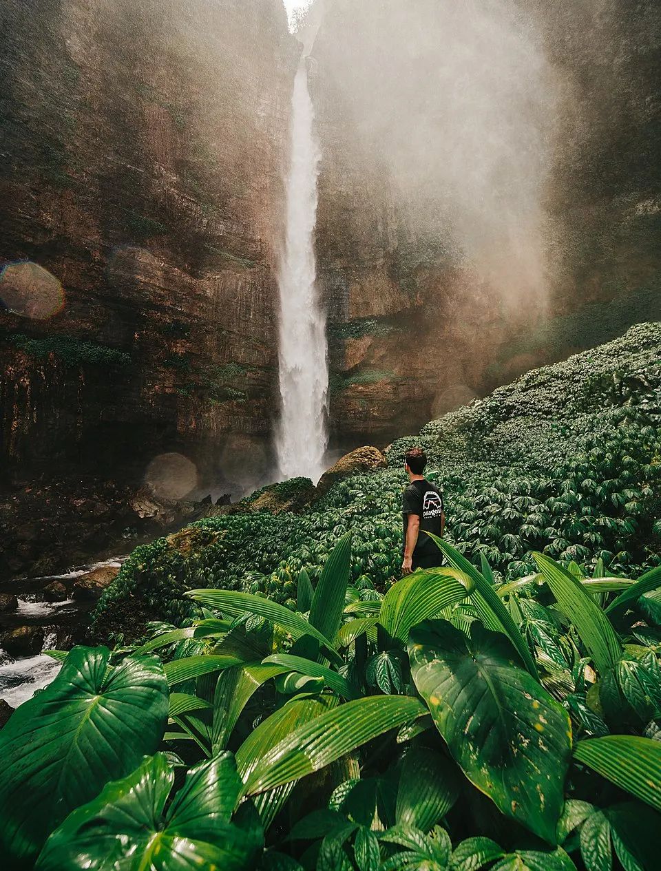 全世界最绿的50张照片